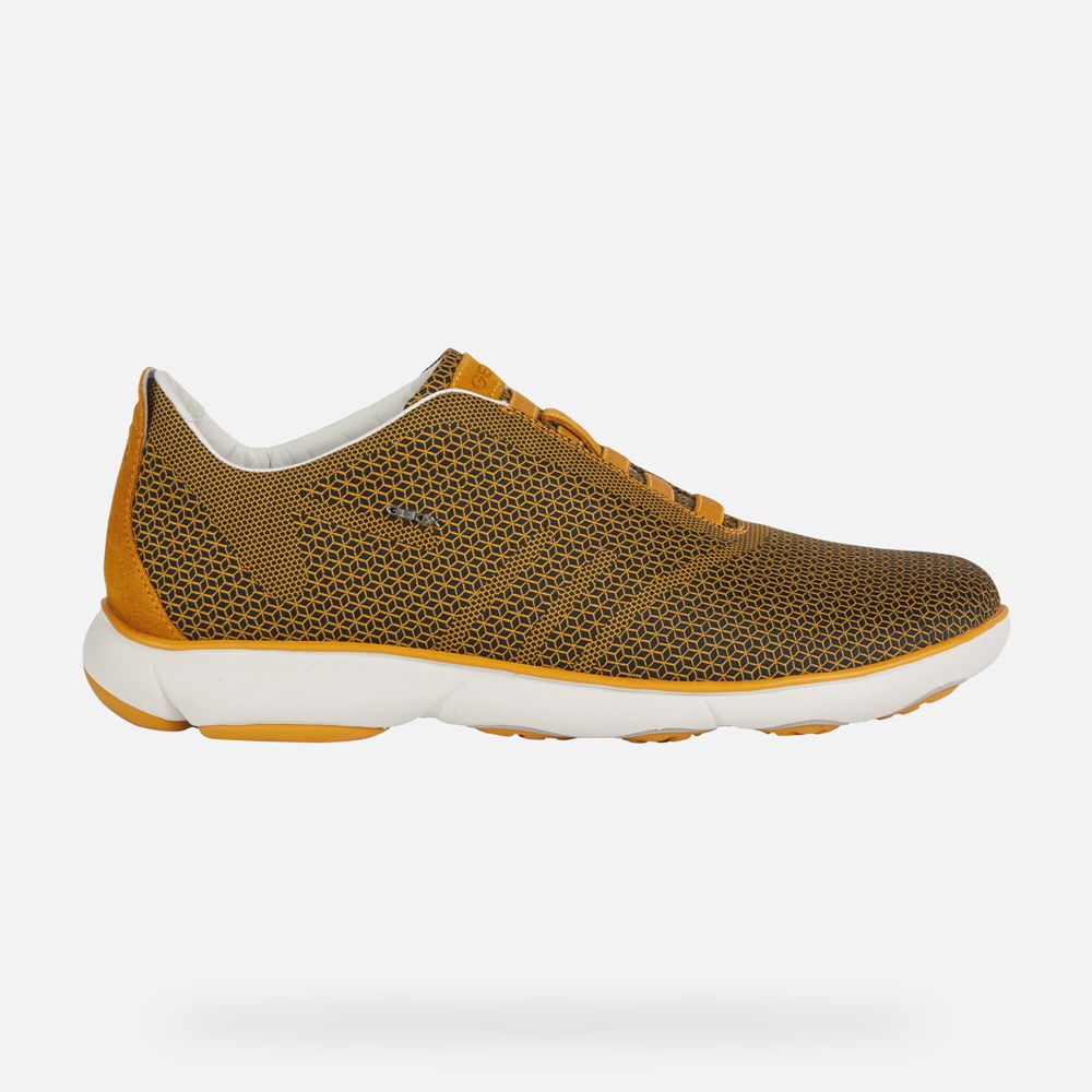 Basket Geox Nebula - Jaune - Homme 567803-DKZ